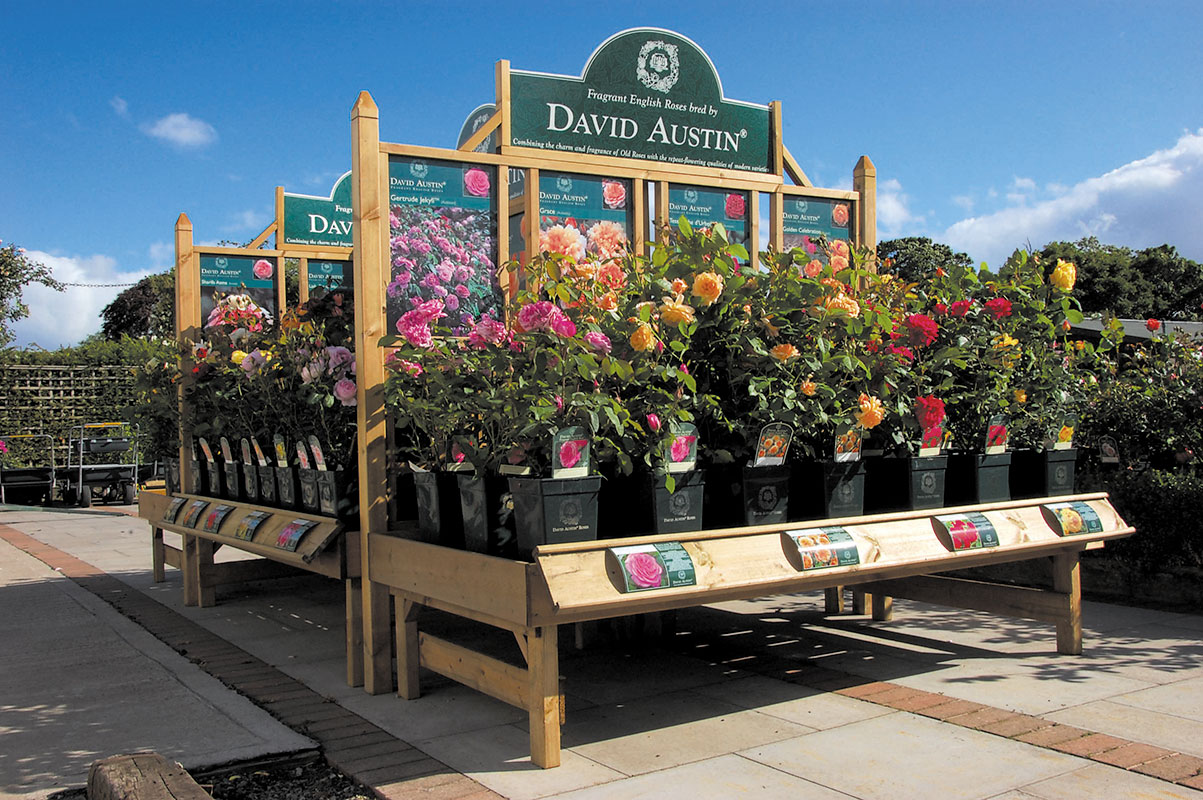 david-austin-roses-outdoor-display-bench-and-trellis-01