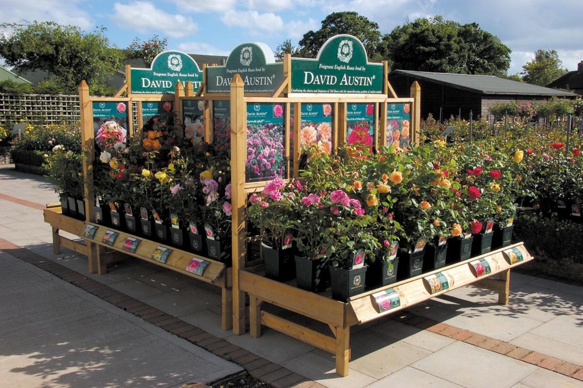 david-austin-roses-outdoor-display-bench-and-trellis-02